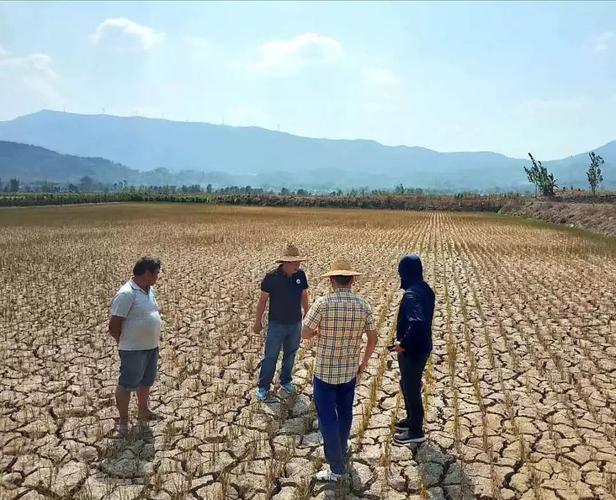 扶绥天气预报15天?扶绥天气预报15天最新情况?-第7张图片-巾百福 扶绥天气预报15天?扶绥天气预报15天最新情况?-第7张图片-巾百福