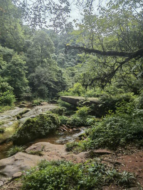 成都天台山天气预报,成都天台山天气预报15天气-第2张图片-巾百福 成都天台山天气预报,成都天台山天气预报15天气-第2张图片-巾百福
