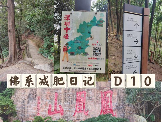 深圳天气预报查询,深圳天气预报查询60天-第2张图片-巾百福 深圳天气预报查询,深圳天气预报查询60天-第2张图片-巾百福