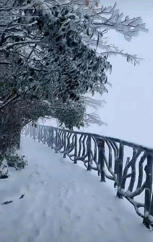 会同天气预报30天,会同天气预报天气?-第5张图片-巾百福 会同天气预报30天,会同天气预报天气?-第5张图片-巾百福