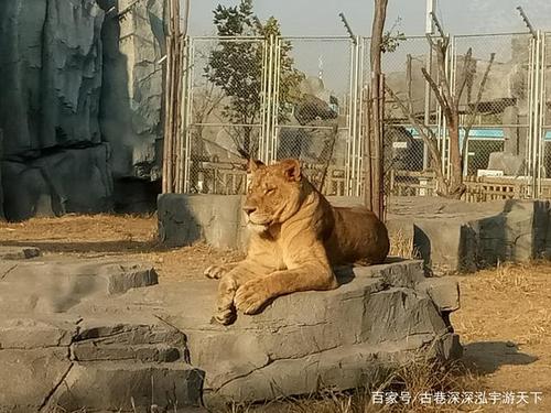 唐山3月18号限号,唐山3月18号限号吗?-第3张图片-巾百福 唐山3月18号限号,唐山3月18号限号吗?-第3张图片-巾百福