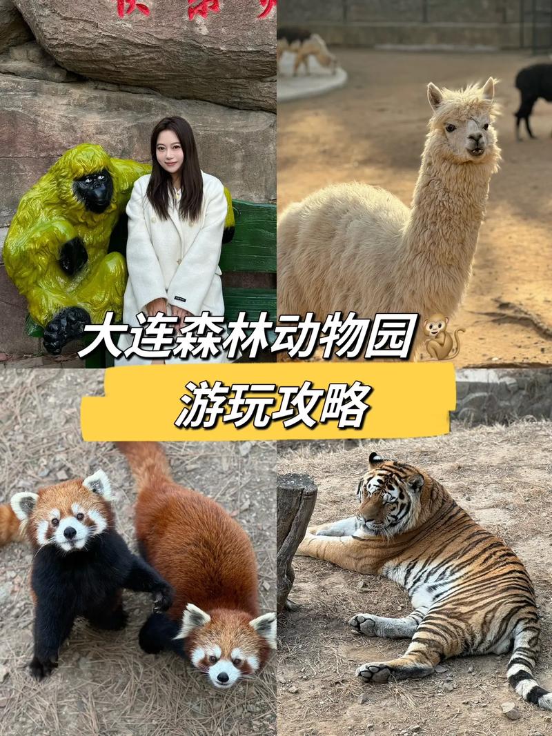 大连天气详细预报,大连天气预报30天准确 一个月?-第5张图片-巾百福 大连天气详细预报,大连天气预报30天准确 一个月?-第5张图片-巾百福