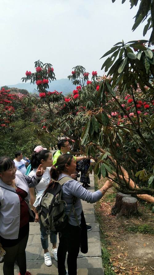 奉节县天气预报天气?奉节县天气预报天气查询?-第4张图片-巾百福 奉节县天气预报天气?奉节县天气预报天气查询?-第4张图片-巾百福