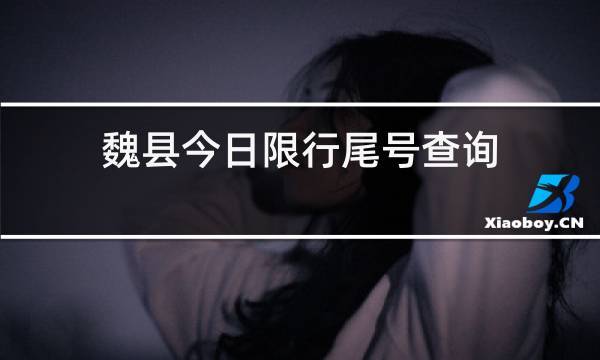 查一下魏县限号多少,魏县限号查询最新2019-第5张图片-巾百福 查一下魏县限号多少,魏县限号查询最新2019-第5张图片-巾百福
