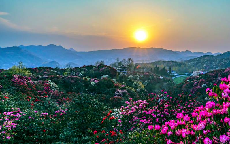 贵州的天气预报7天?贵州的天气预报7天穿什么衣服?-第1张图片-巾百福 贵州的天气预报7天?贵州的天气预报7天穿什么衣服?-第1张图片-巾百福