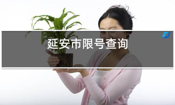 延安2018限号吗,延安市机动车限号吗??-第3张图片-巾百福 延安2018限号吗,延安市机动车限号吗??-第3张图片-巾百福