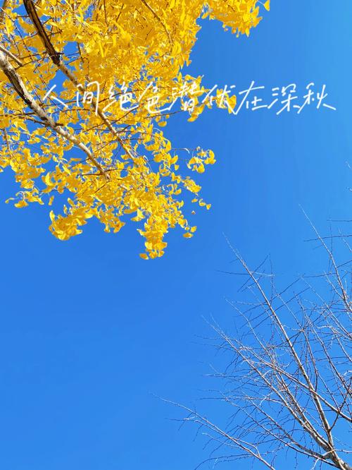 民权天气预报一周?民权天气预报一周15天?-第2张图片-巾百福 民权天气预报一周?民权天气预报一周15天?-第2张图片-巾百福
