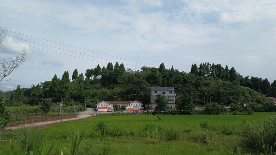 潼南天气预报一周?潼南天气预报一周15天查询?-第5张图片-巾百福 潼南天气预报一周?潼南天气预报一周15天查询?-第5张图片-巾百福