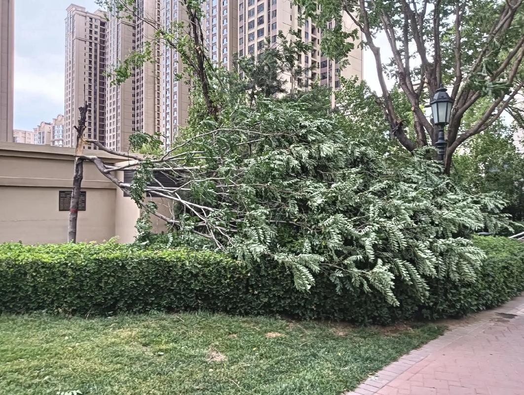 临汾未来一周天气，临汾未来一周天气预报查询？-第4张图片-巾百福