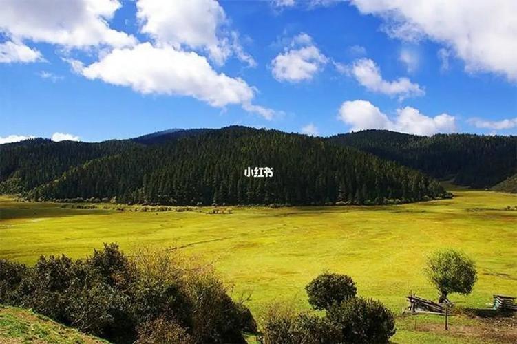 香格里拉天气15天,香格里拉天气15天查询结果-第3张图片-巾百福 香格里拉天气15天,香格里拉天气15天查询结果-第3张图片-巾百福