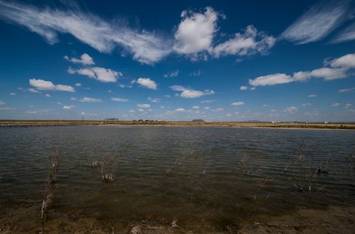 林西天气预报15天?林西天气预报15天当地天气查询?-第3张图片-巾百福 林西天气预报15天?林西天气预报15天当地天气查询?-第3张图片-巾百福