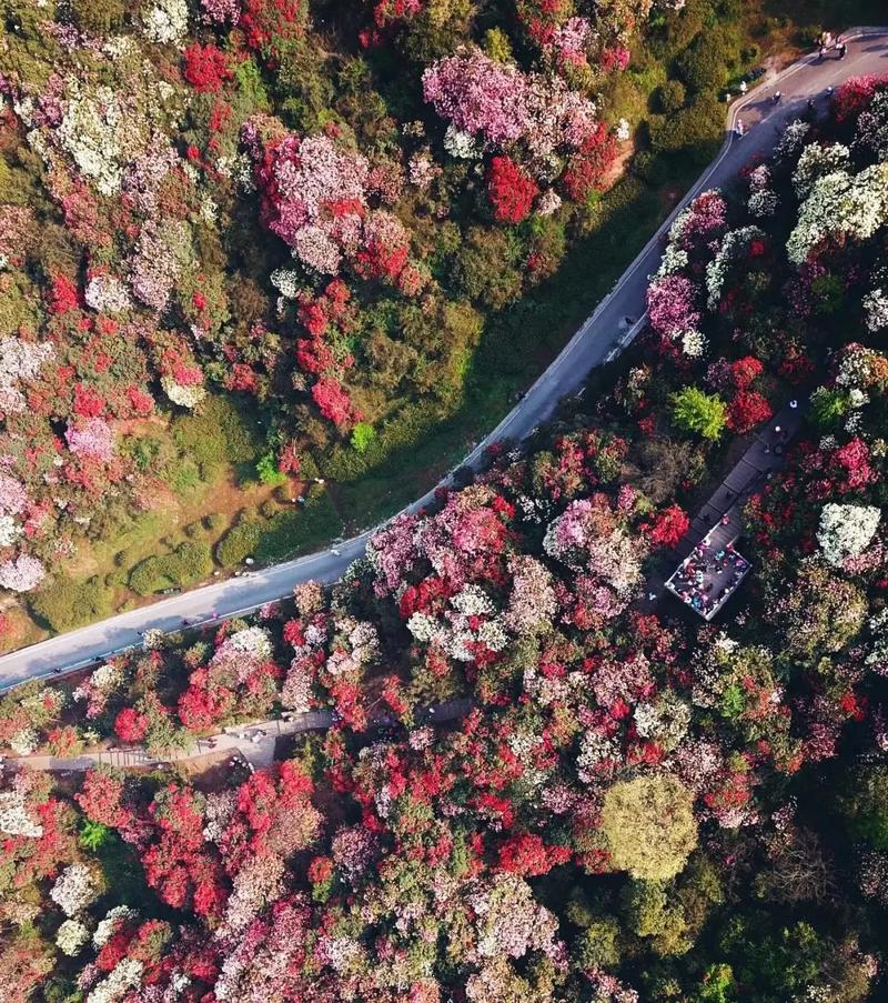 风景区天气预报查询?古牛降风景区天气预报查询?-第5张图片-巾百福 风景区天气预报查询?古牛降风景区天气预报查询?-第5张图片-巾百福