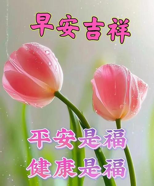 北海十五天天气预报，北海十五天天气预报风向预报-第5张图片-巾百福