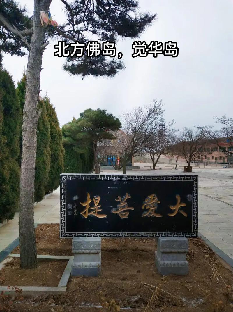 摩托车去兴城限号吗?兴城限行?-第4张图片-巾百福 摩托车去兴城限号吗?兴城限行?-第4张图片-巾百福
