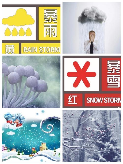 上海历史天气查询，过去15天天气记录？-第6张图片-巾百福
