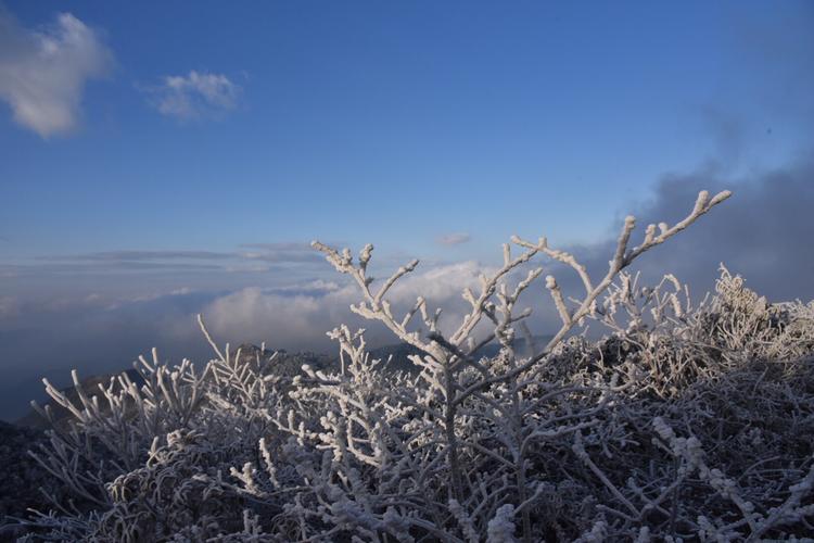 韶关天气预报15天?韶关天气预报15天当地?-第7张图片-巾百福 韶关天气预报15天?韶关天气预报15天当地?-第7张图片-巾百福