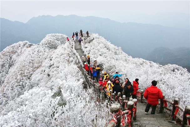 上林天气预报一周?上林天气预报一周天气查询?-第2张图片-巾百福 上林天气预报一周?上林天气预报一周天气查询?-第2张图片-巾百福