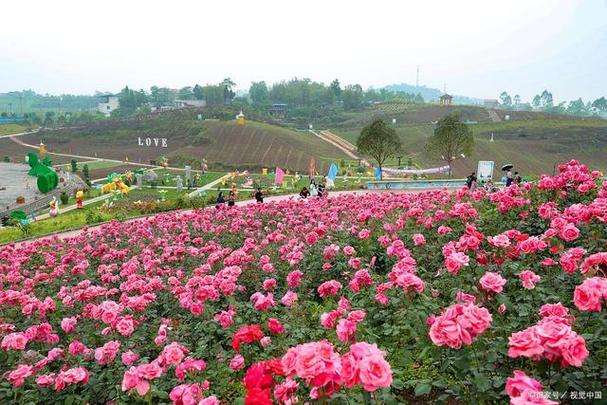 荣县天气预报15天，自贡市荣县天气预报15天-第3张图片-巾百福