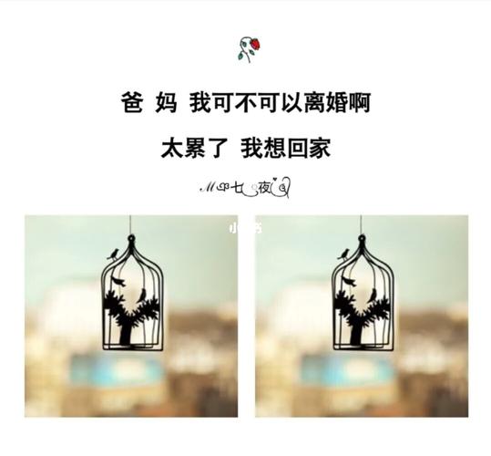 2020宁夏限号吗，宁夏限号规定？-第6张图片-巾百福